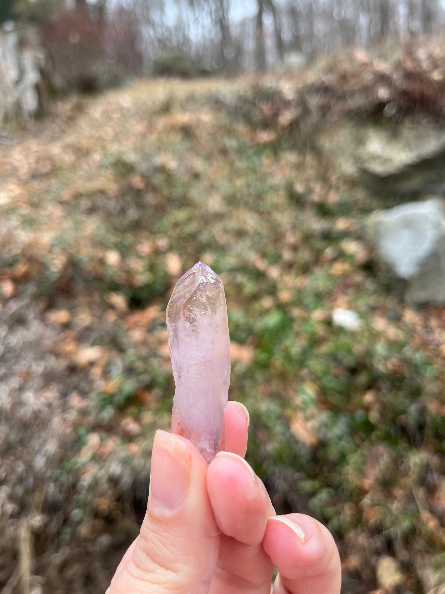 Vera Cruz Amethyst