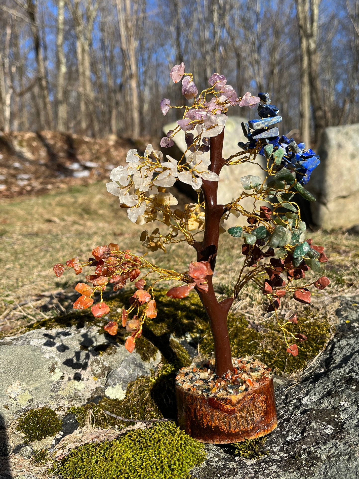 Chakra Tree of Life