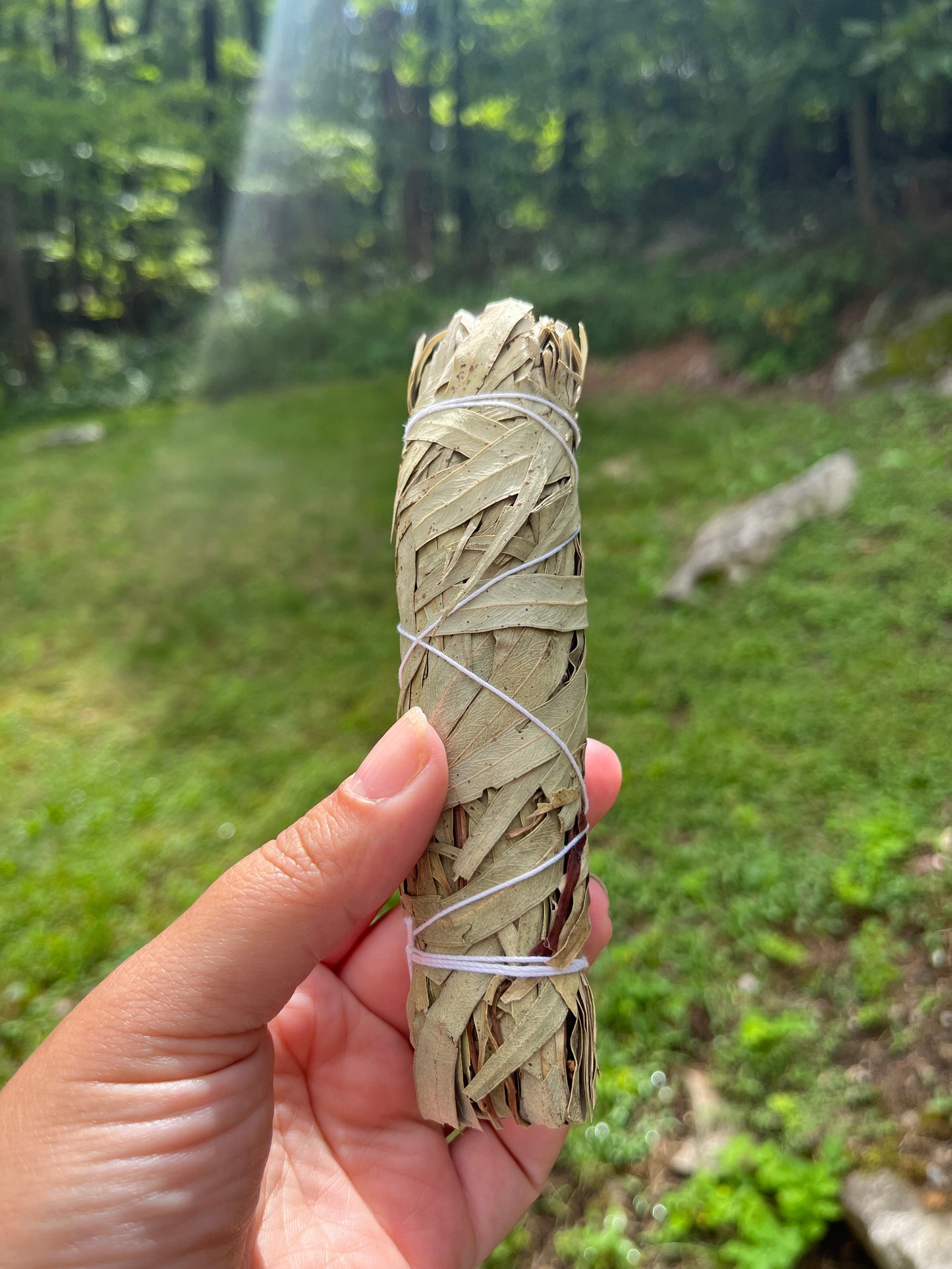 Eucalyptus Smudge Stick