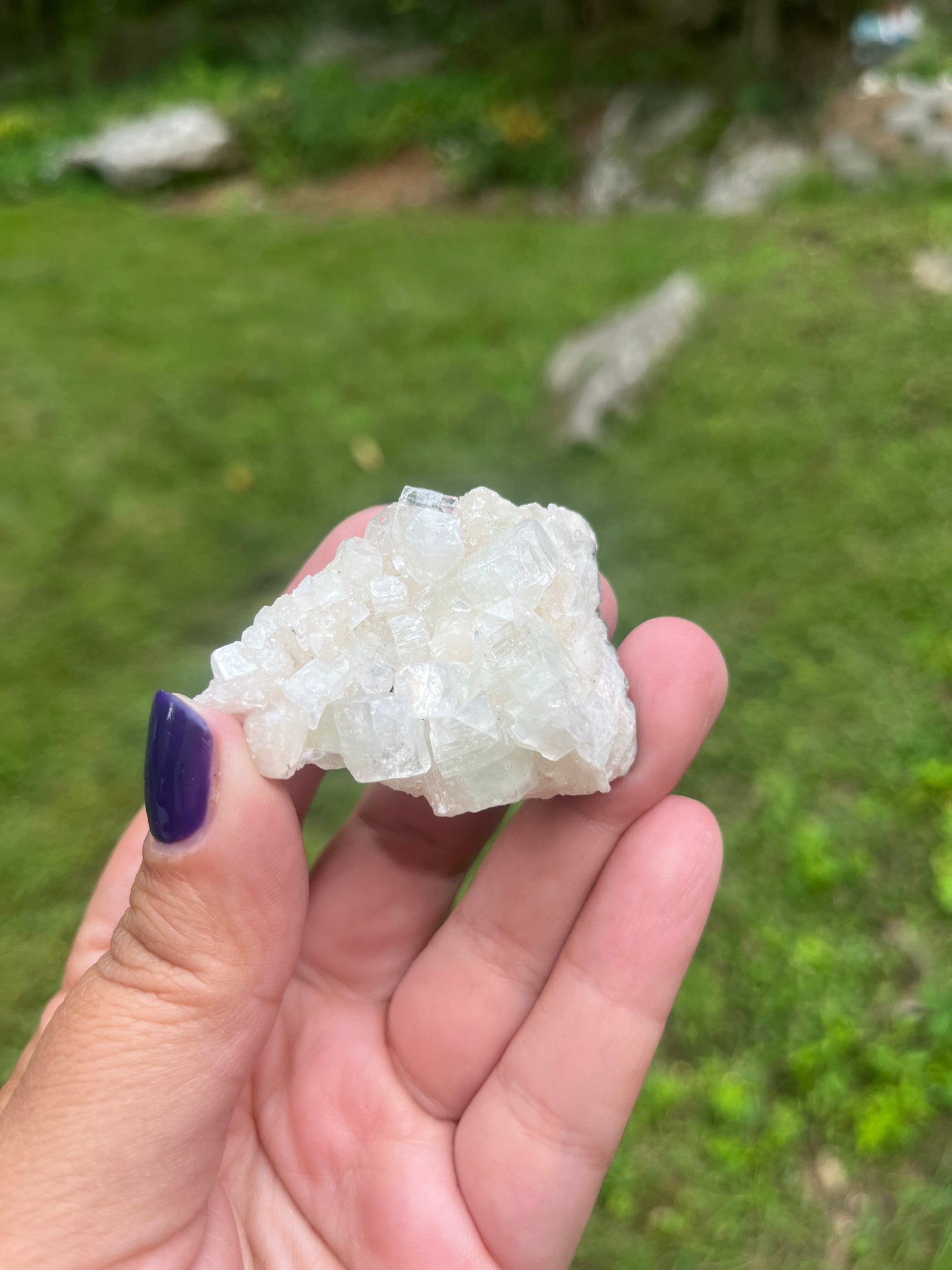 Zeolites (Apophylites w/ Stilibite)