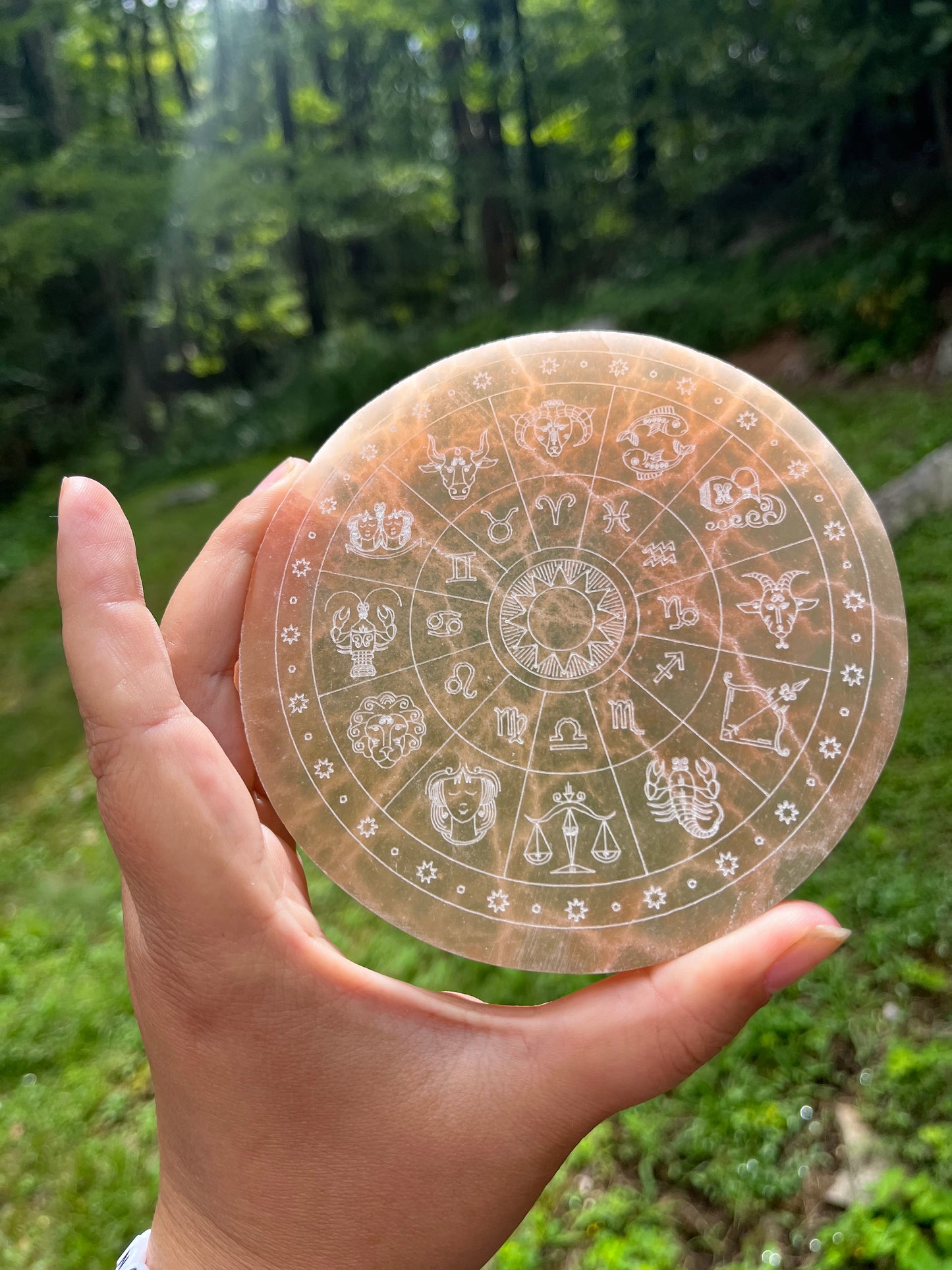 Zodiac Plates