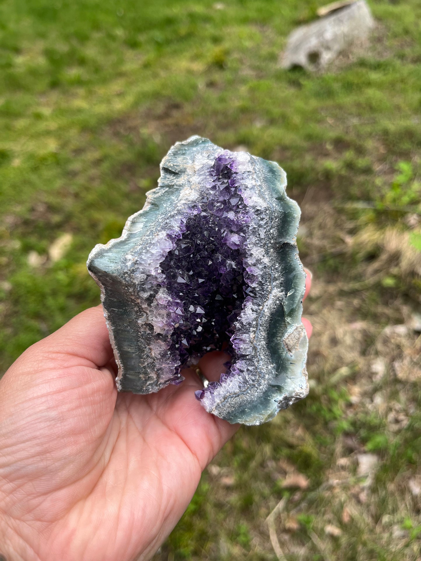 Gorgeous Amethyst Cluster