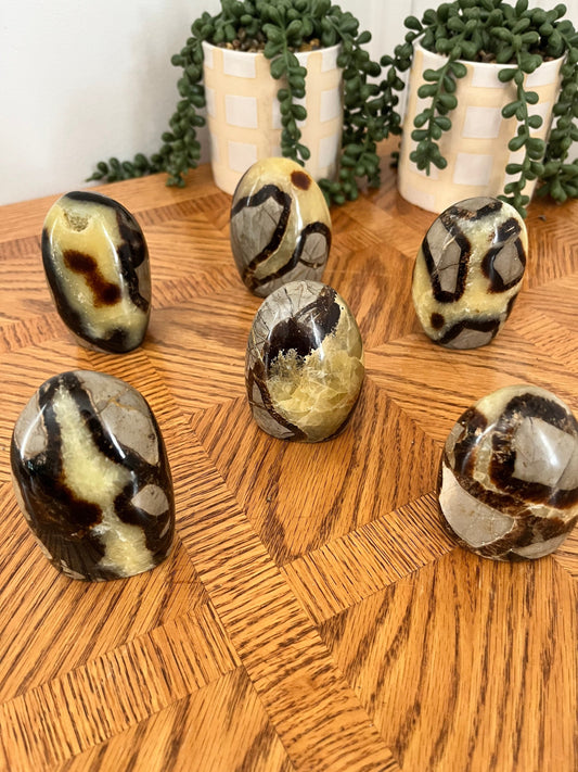 Septarian Free form “Dragon Stone”