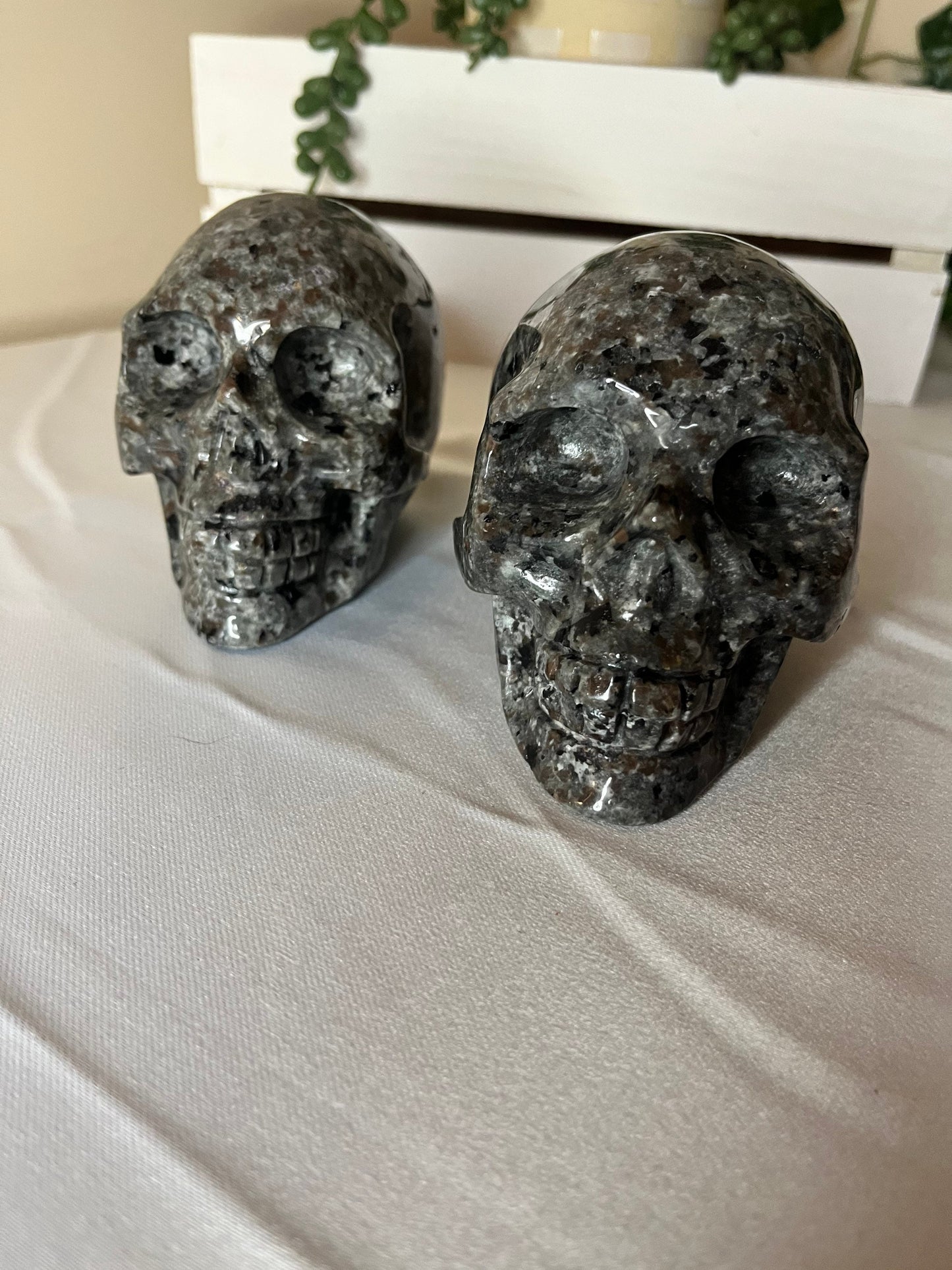 Large Yooperlite Skulls