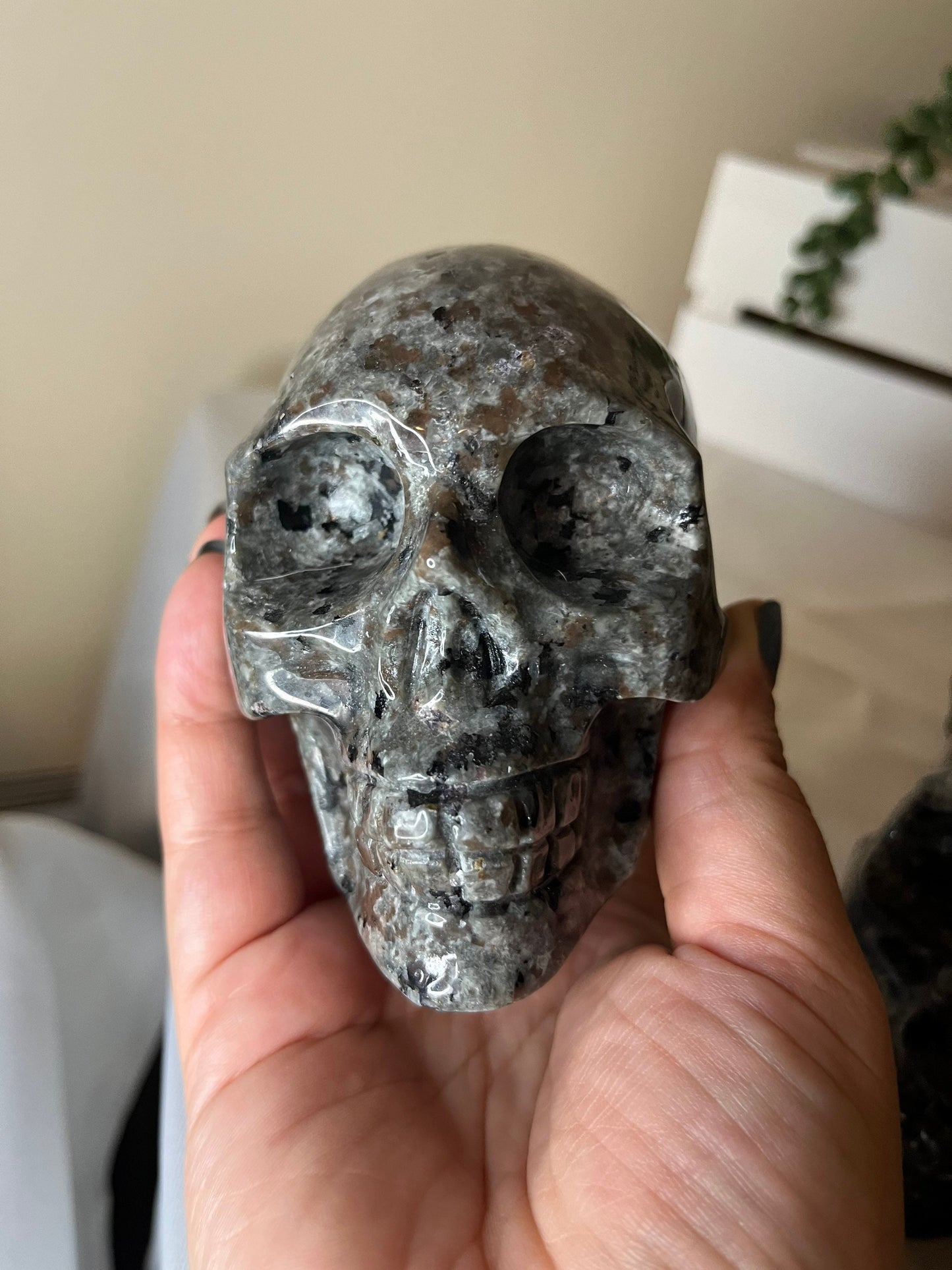 Large Yooperlite Skulls