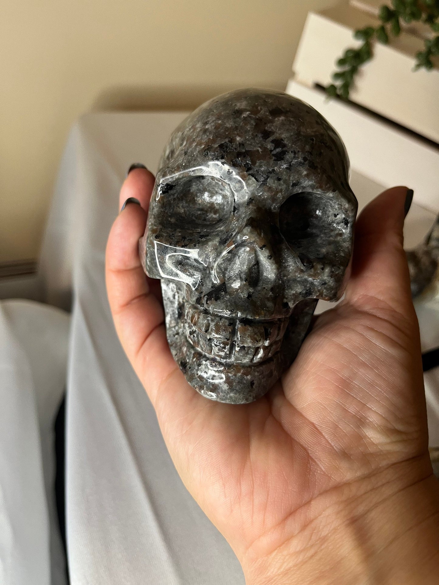 Large Yooperlite Skulls