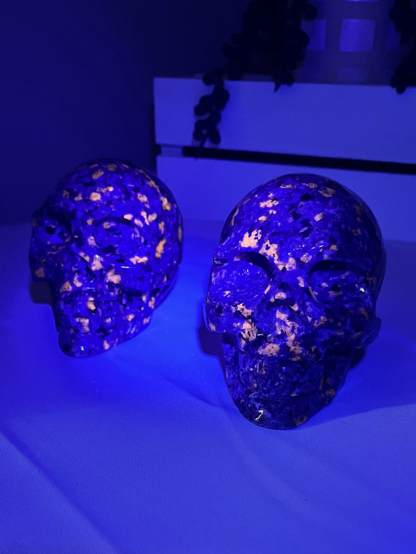 Large Yooperlite Skulls