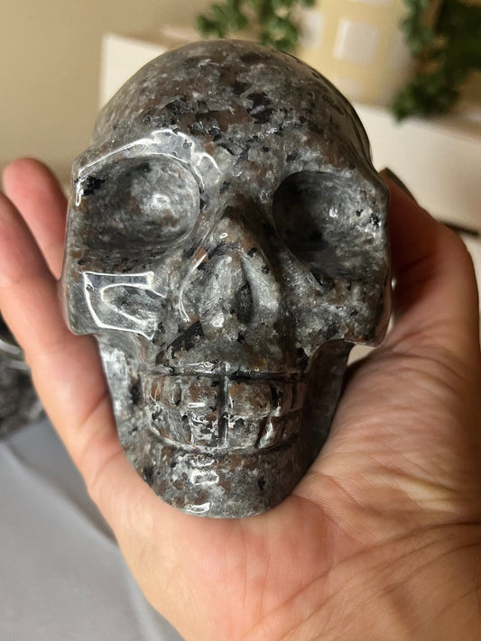 Large Yooperlite Skulls