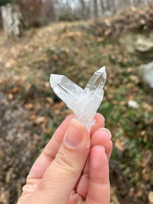 Lemurian Quartz