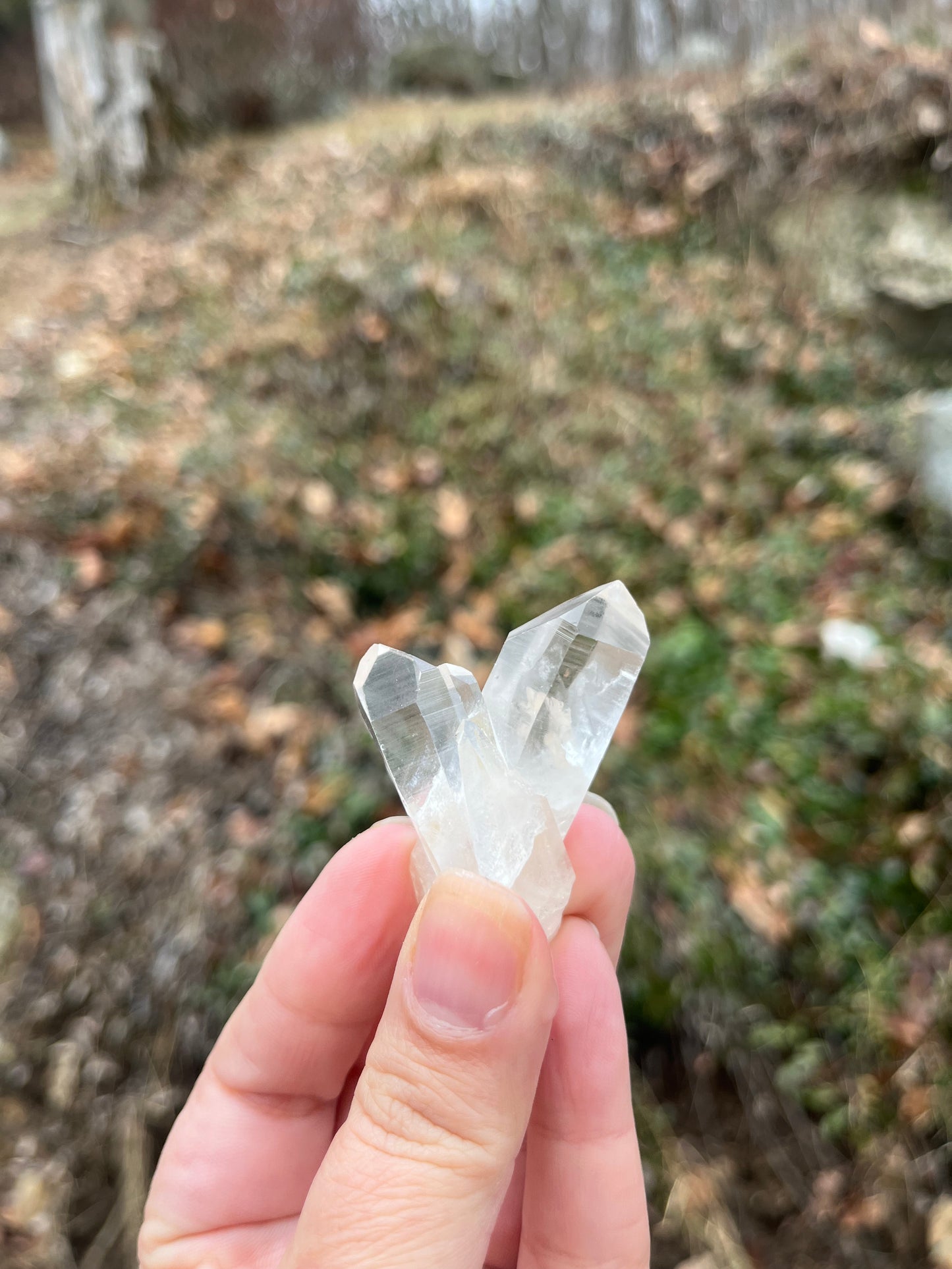 Lemurian Quartz