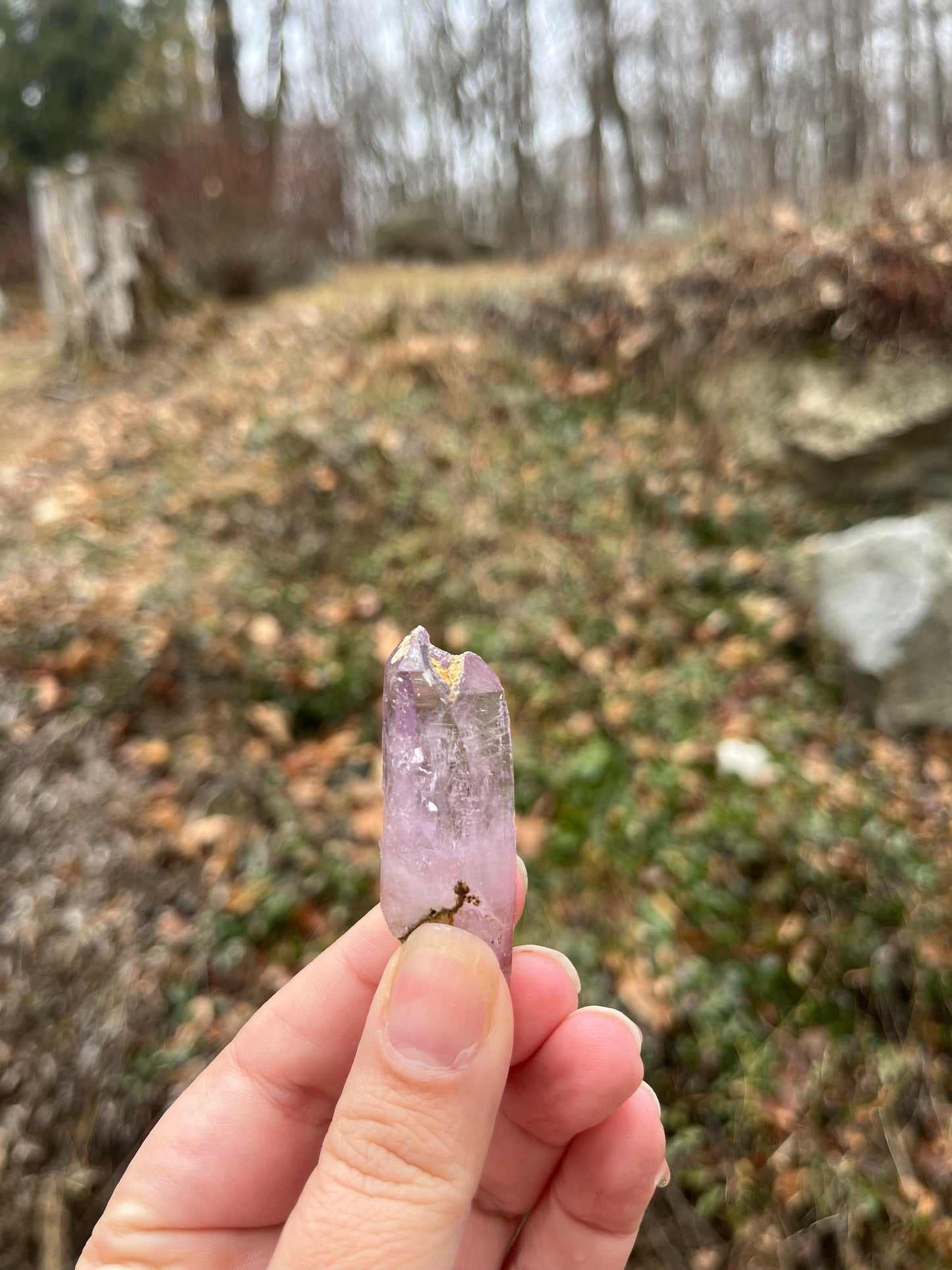 Vera Cruz Amethyst