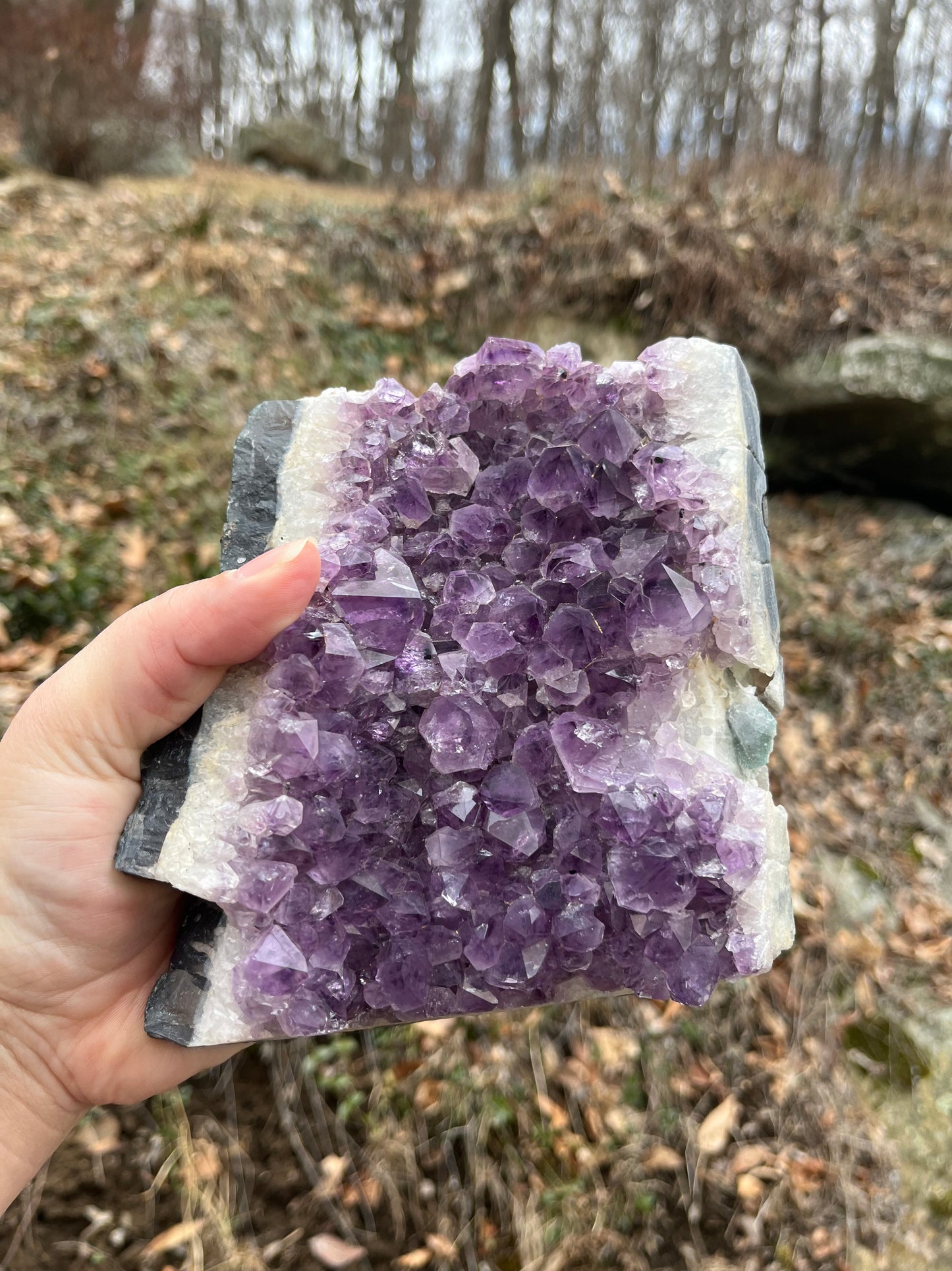 Large Amethyst Cluster