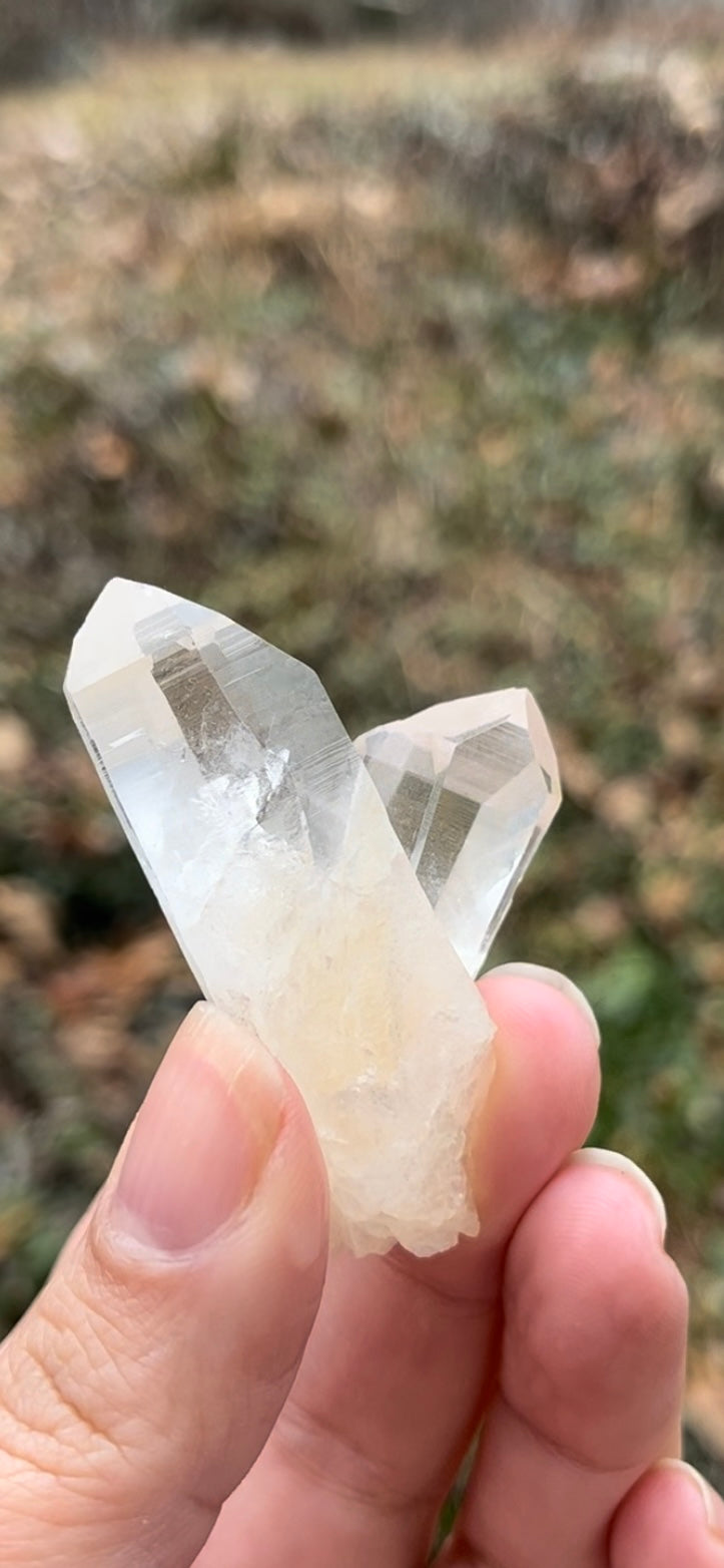 Lemurian Quartz