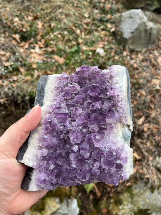 Large Amethyst Cluster