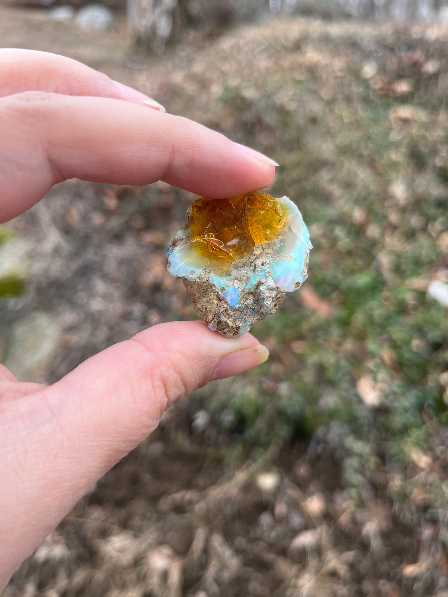 Ethiopian Water Opal